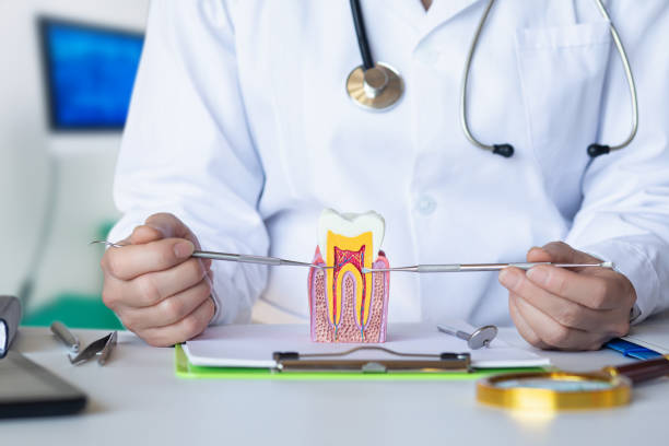 Best Dentist for Tooth Abscess  in Dunlap, OH